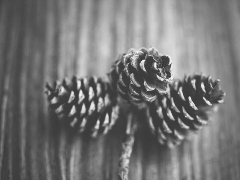 Task Management Tool